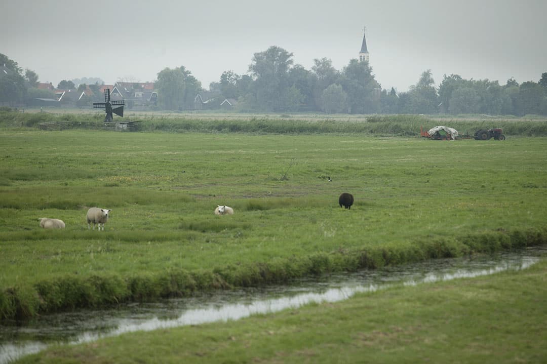 Foto: Mark Pasveer