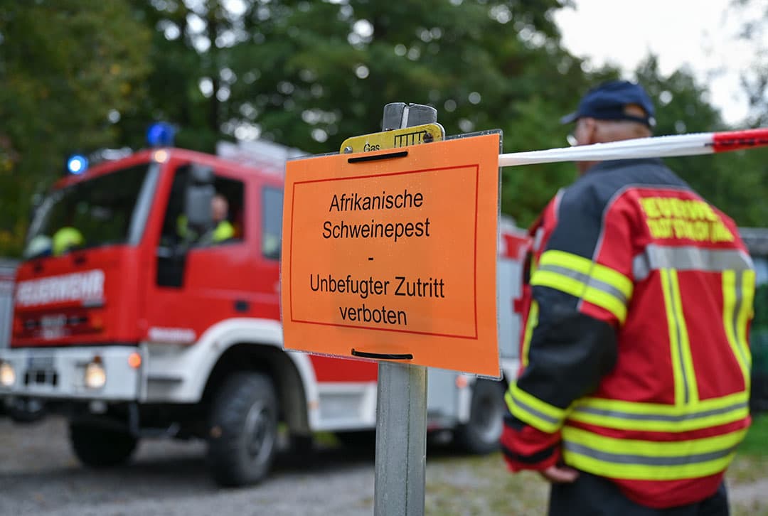 In de Duitse deelstaat Brandenburg is ook de vrijwillge brandweer ingezet om gebieden af te zetten waar met AVP besmette wilde zwijnen zijn gevonden. - Foto: ANP