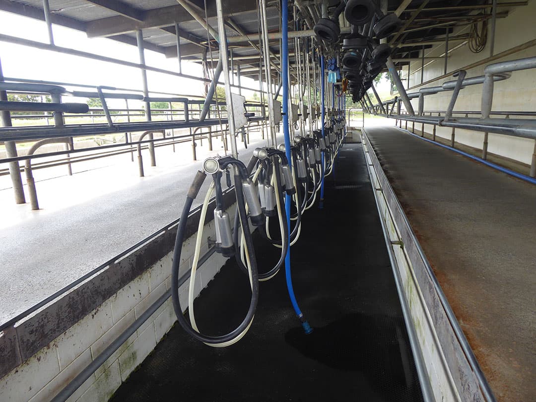 De sterk verbeterde cijfers van Fonterra zijn het resultaat van onder meer een forse reorganisatie en afslanking van de coöperatie. Foto: Boerderij