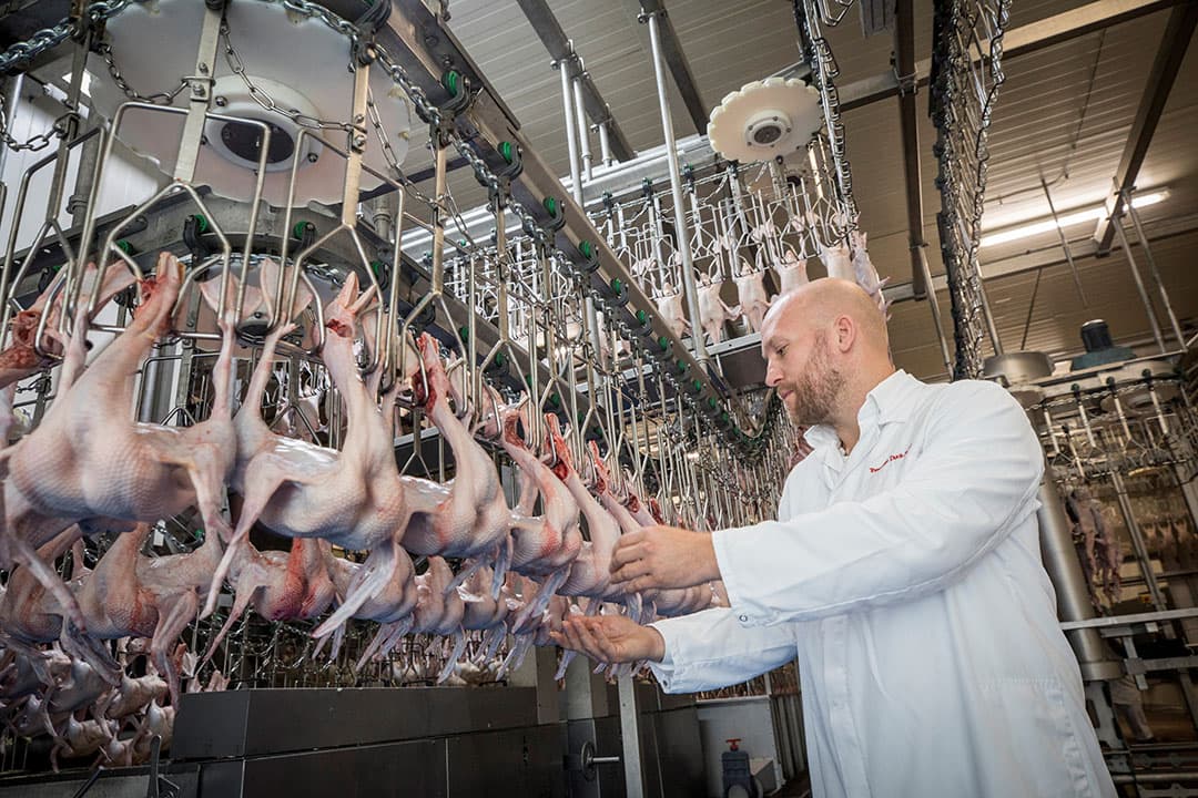 Operationeel directeur Jeroen IJzerman in de wax-afdeling van eendenslachterij Tomassen Duck-To na de herstart van de slachterij afgelopen vrijdag. Foto: Koos Groenewold