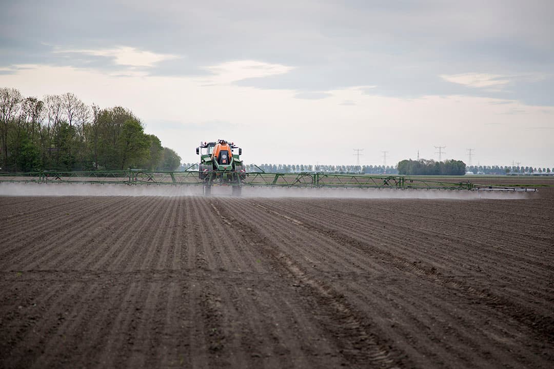 De bodemherbiciden werden onder andere gespoten in uien, zoals bij NPPL-deelnemer Max Sturm in Ens (Fl.) in 2018. - Foto: Jan Willem Schouten