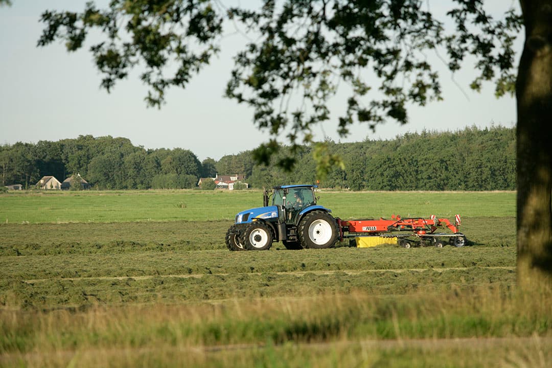 Foto: Jan Willem Schouten