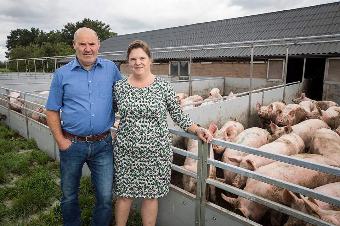 Gert (56) en Gerrie Samson (51) houden in Vaassen (Gld.) 288 biologische vleesvarkens. Ze mogen 320 varkens houden.