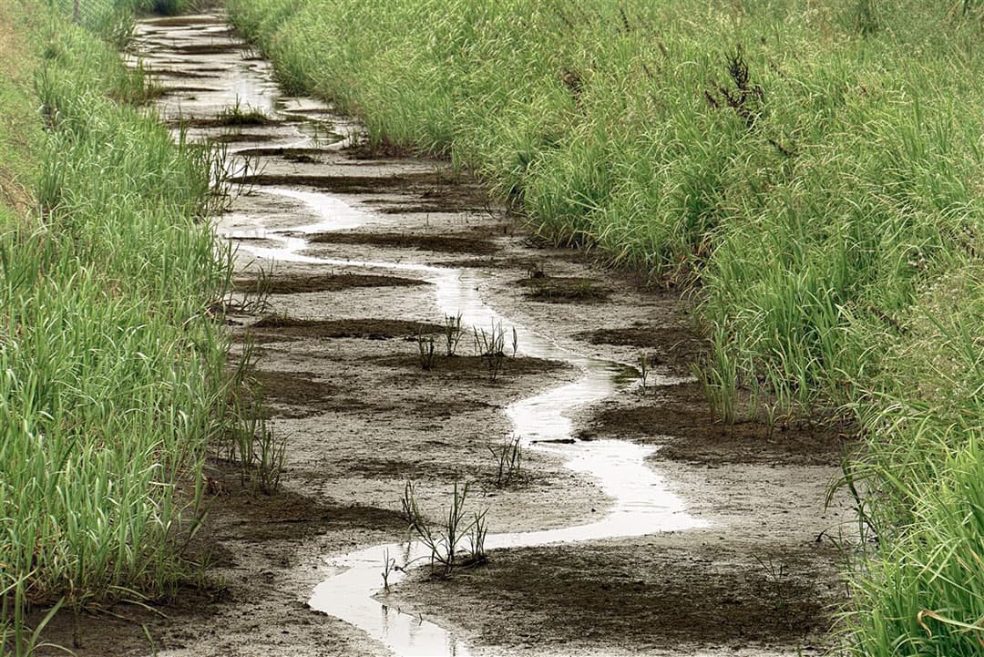 Drooggevallen beek in de buurt van Stevensbeek (Noord-Brabant), augustus 2020. De aanhoudende droogte leverde schade op aan de natuur, ook kregen boeren te maken met beregeningsverboden. - Foto: ANP
