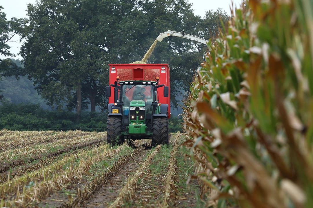 Foto: Henk Riswick
