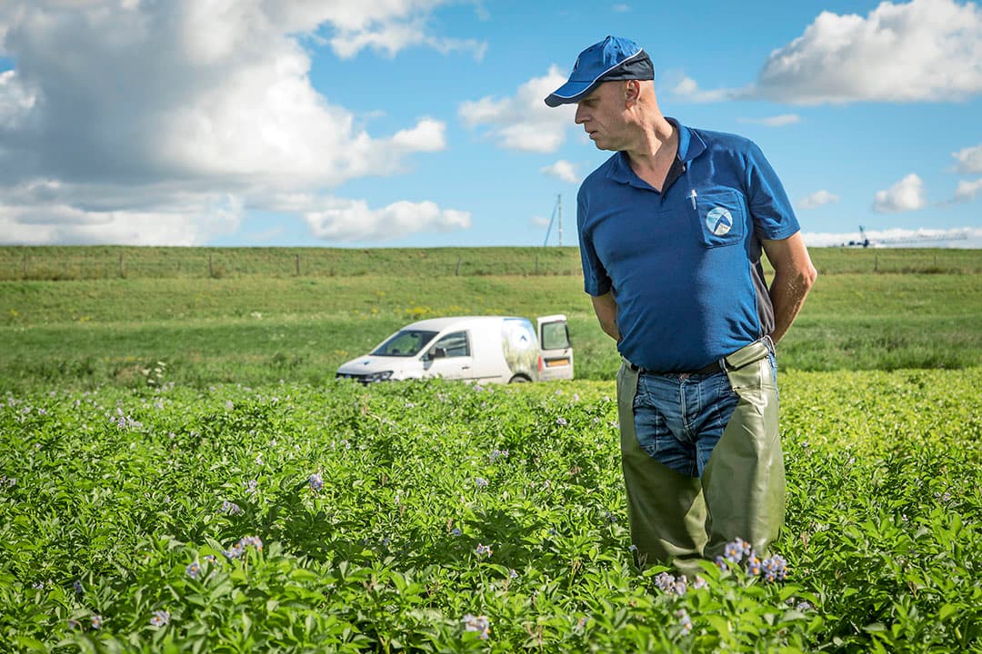 Foto's Koos Groenewold