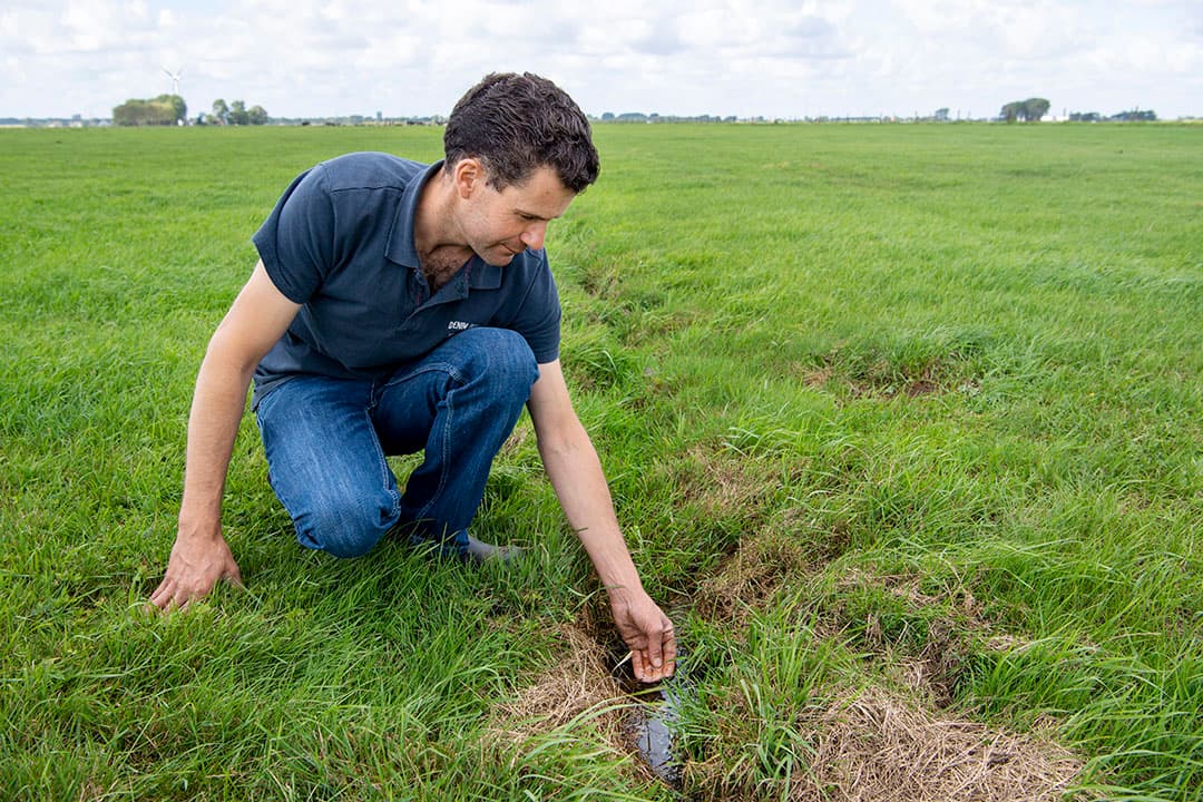 Bodemdaling in veenweidegbied. - Foto: Cor Salverius Fotografie