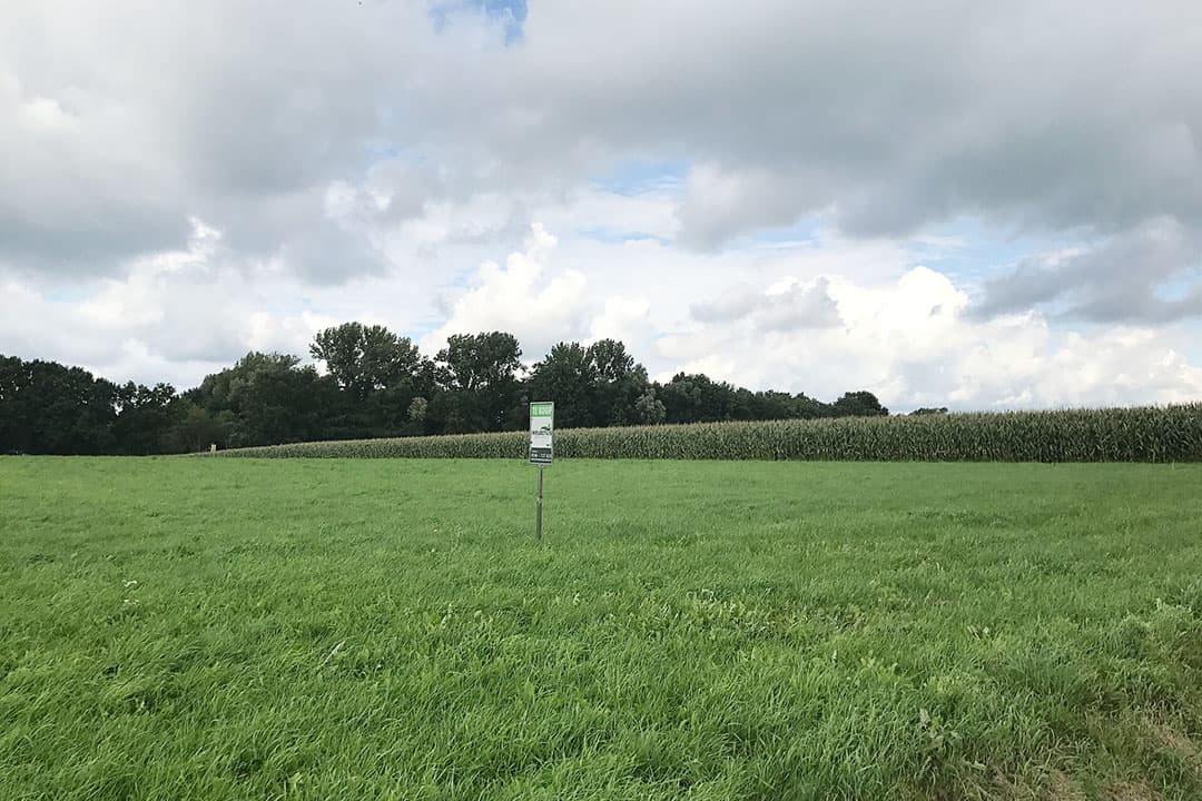 Foto: Martijn ter Horst