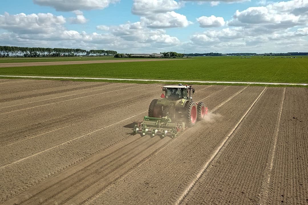 Aardappelruggen trekken op stroken. - Foto: Peter Roek