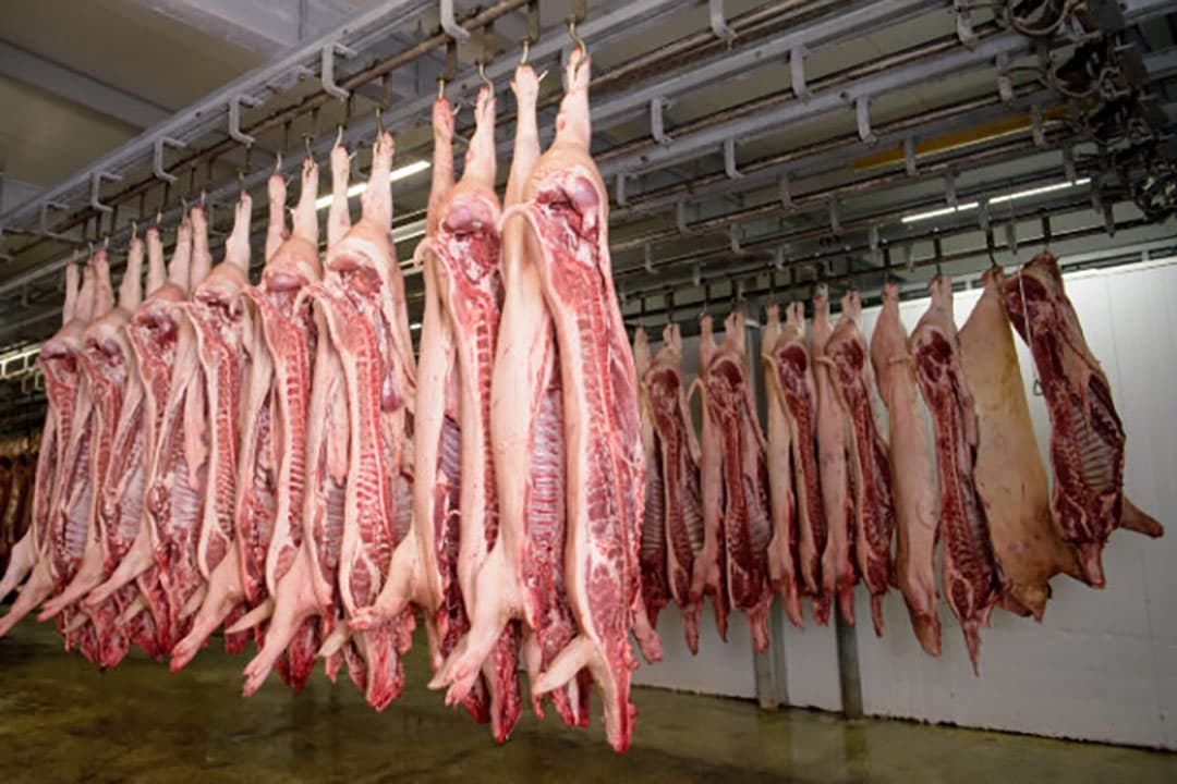 China neemt ook vlees in het been af. Daardoor is het productieproces voor dit land minder bewerkelijk dan voor vlees dat in Europa blijft. - Foto: Canva/hrabar