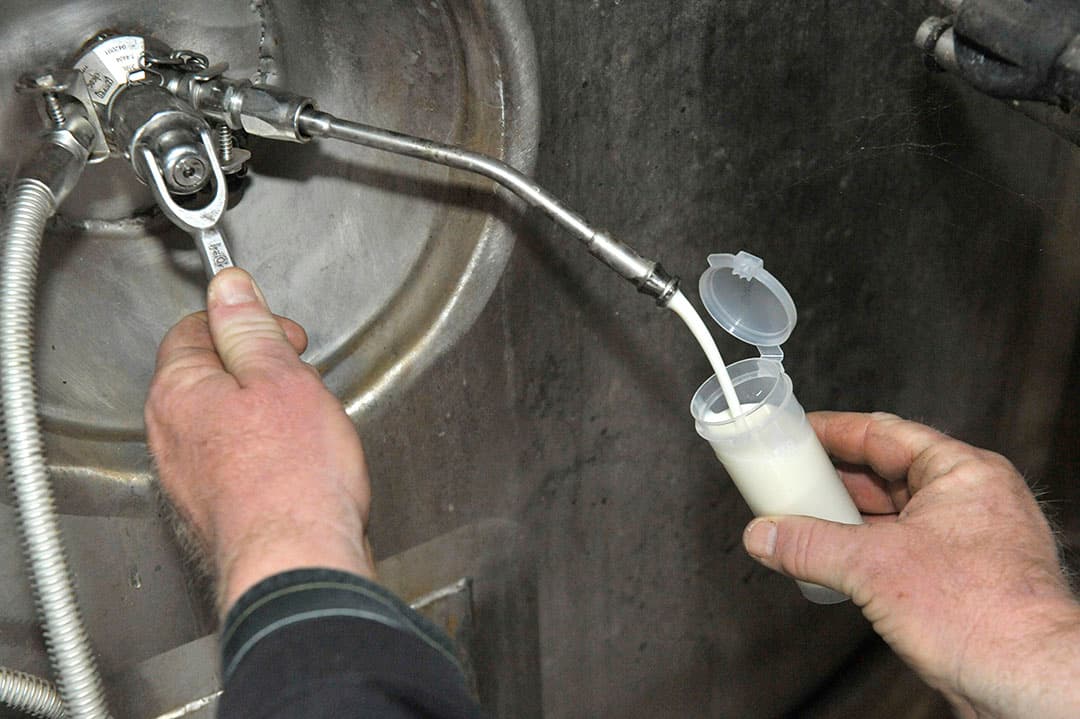 KoeMonitor is een systeem van de zuivelsector zelf en geen onafhankelijk geborgde systematiek om de melkkwaliteit te bewaken. - Foto: Fotopersburo Dijkstra