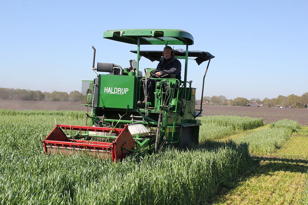 Onderzoek toont de waarde van Snelle Lente Rogge