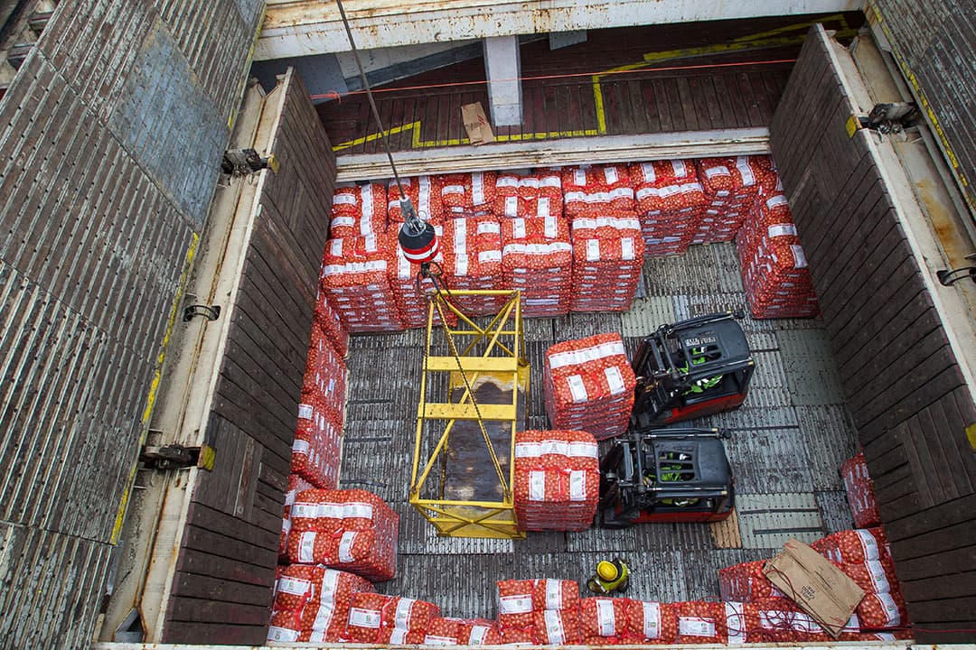 Uien laden voor export. Foto: Peter Roek