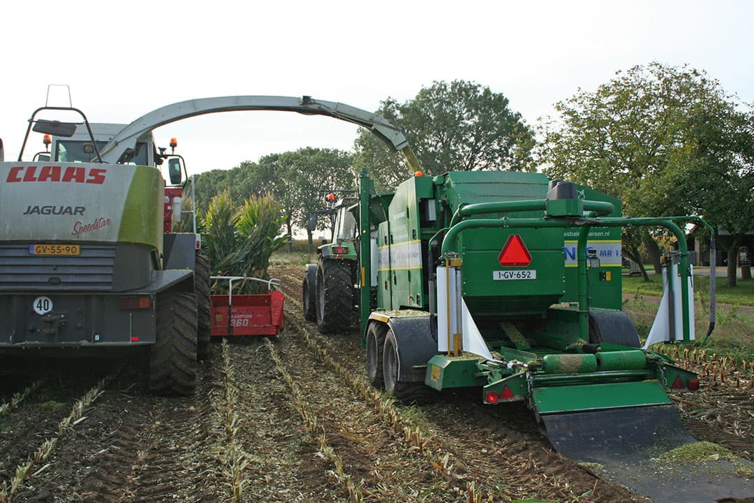 Foto's Groeikracht