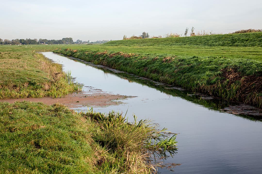 Foto: Herbert Wiggerman