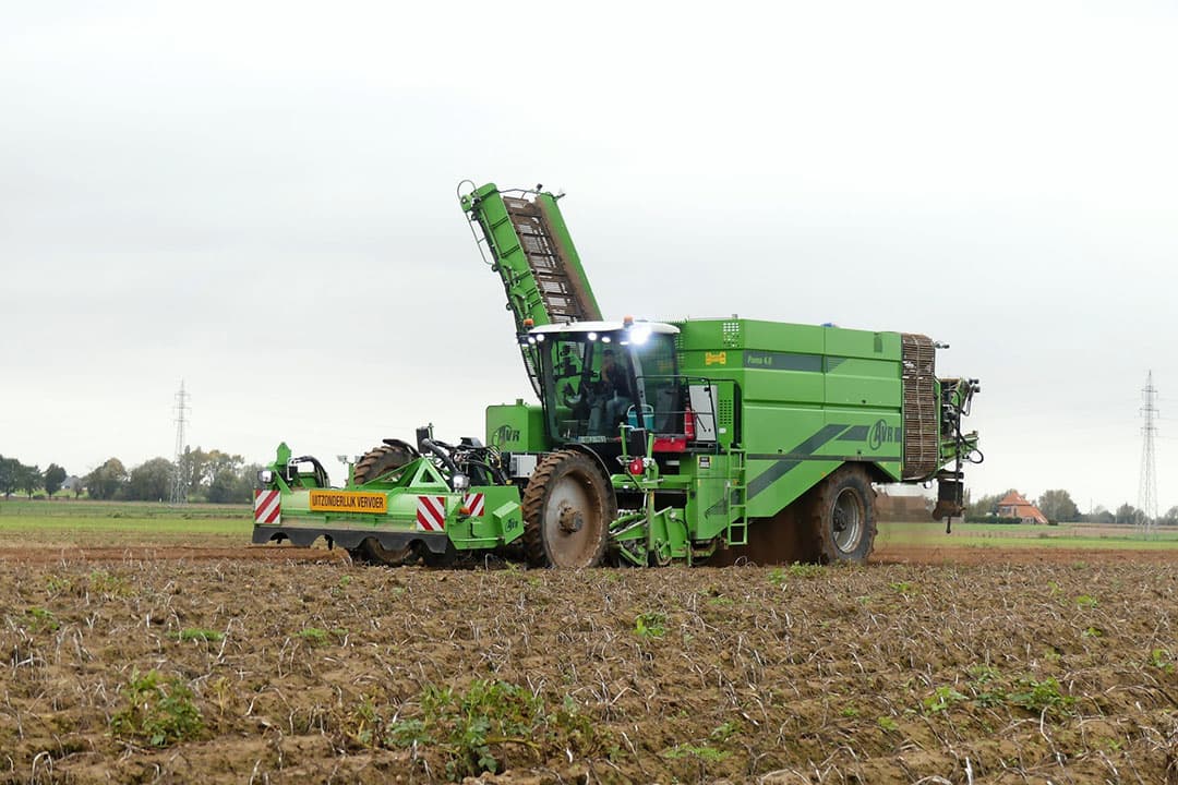 Foto: Martin Smits