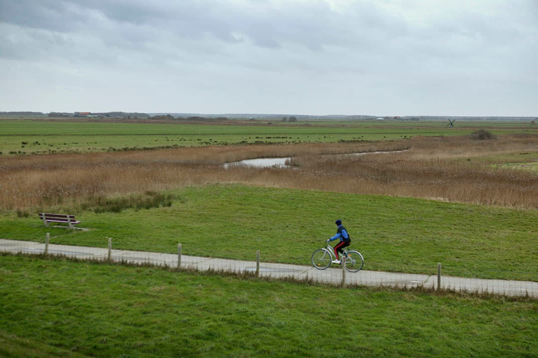 Texels landschap. Foto: Jan Willem Schouten