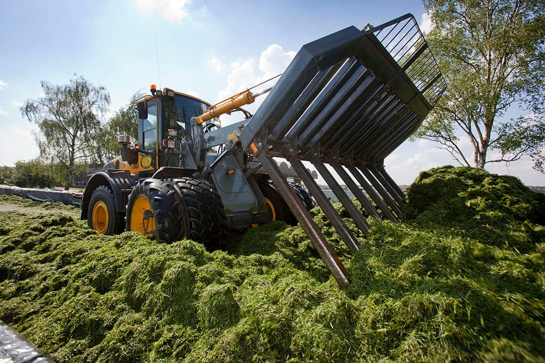 Foto: Jan Willem Schouten