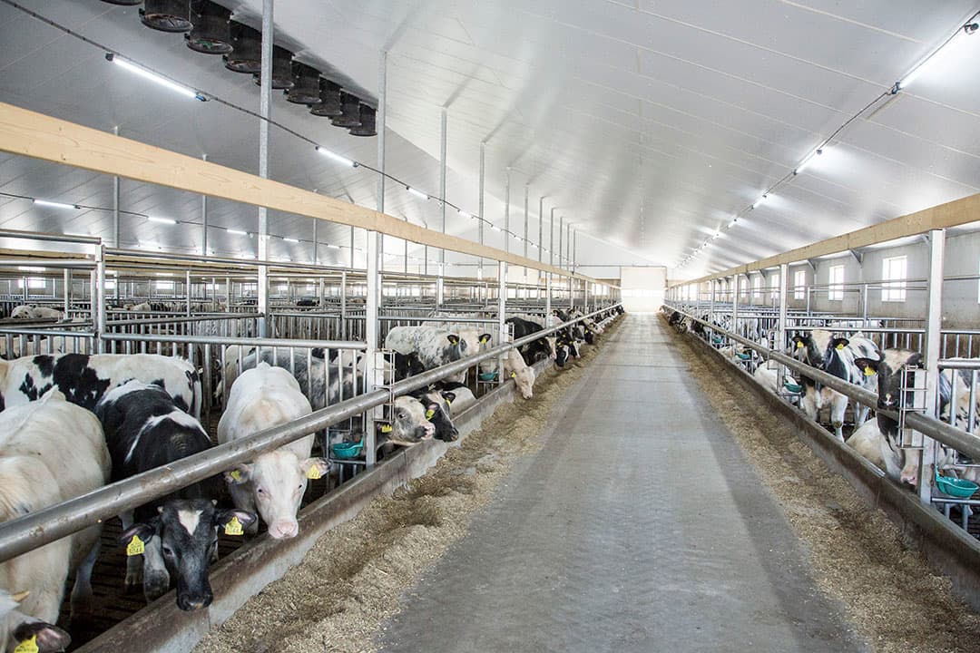Foto: Koos Groenewold