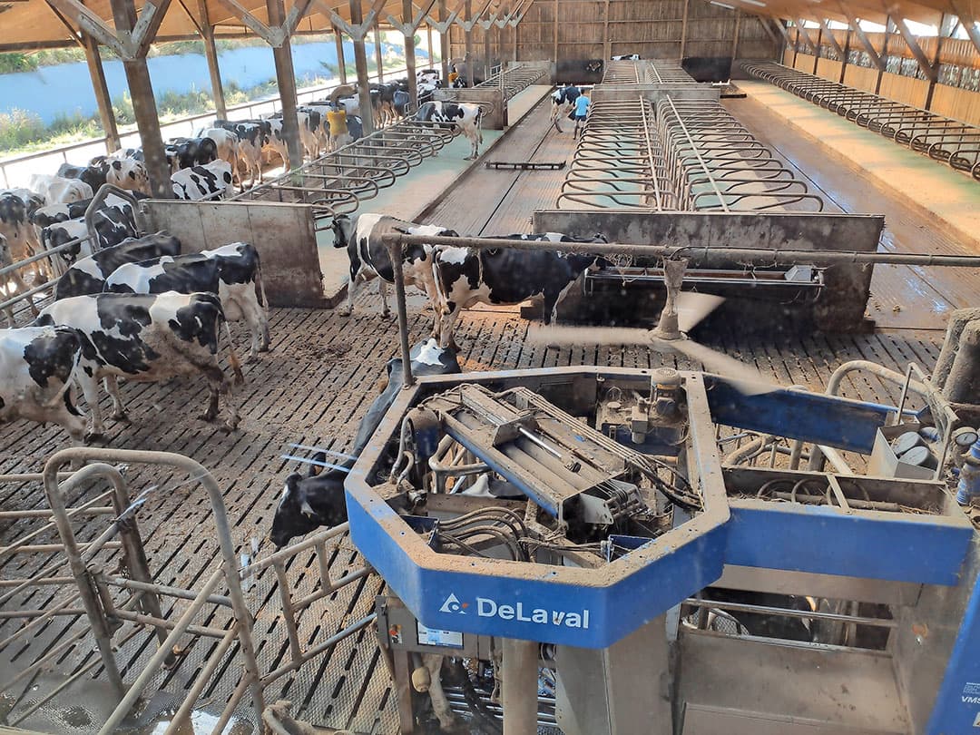 Foto: AGRiiMMO