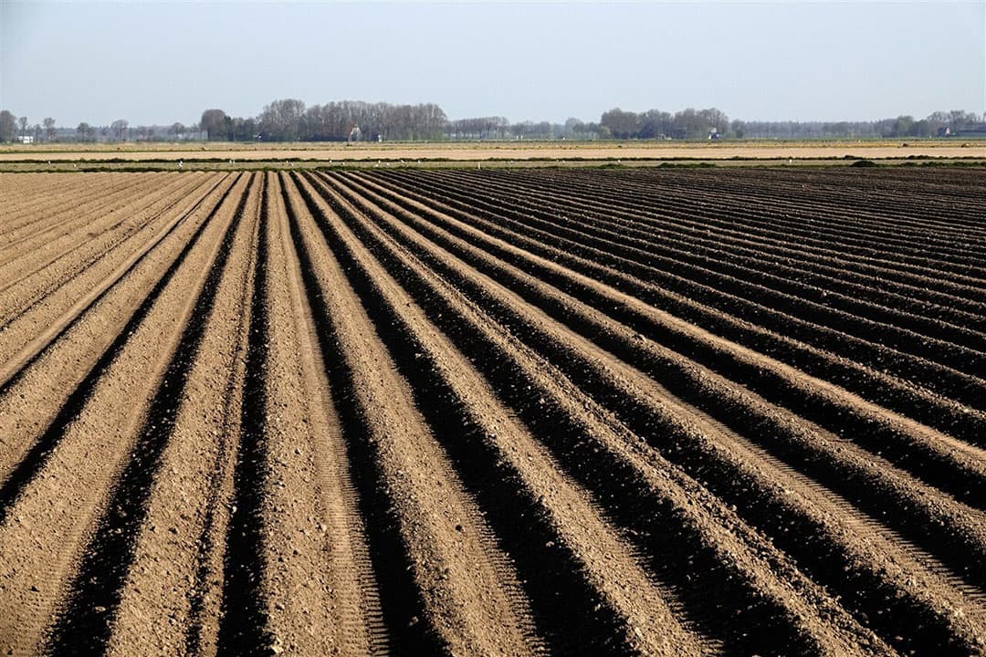 Wen perceel nabij Emmeloord wordt klaargemaakt voor het planten van pootaardappelen. Foto: ANP