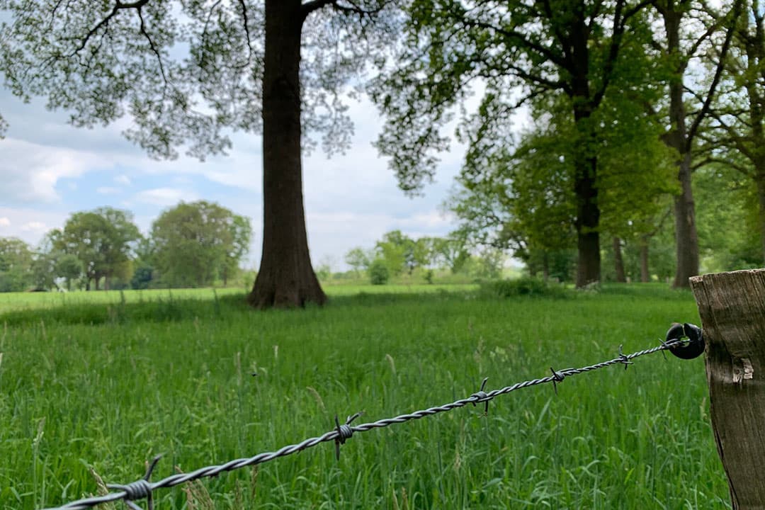Grasland, nabij een Natura 2000-gebied in Twente. - Foto: Martijn ter Horst
