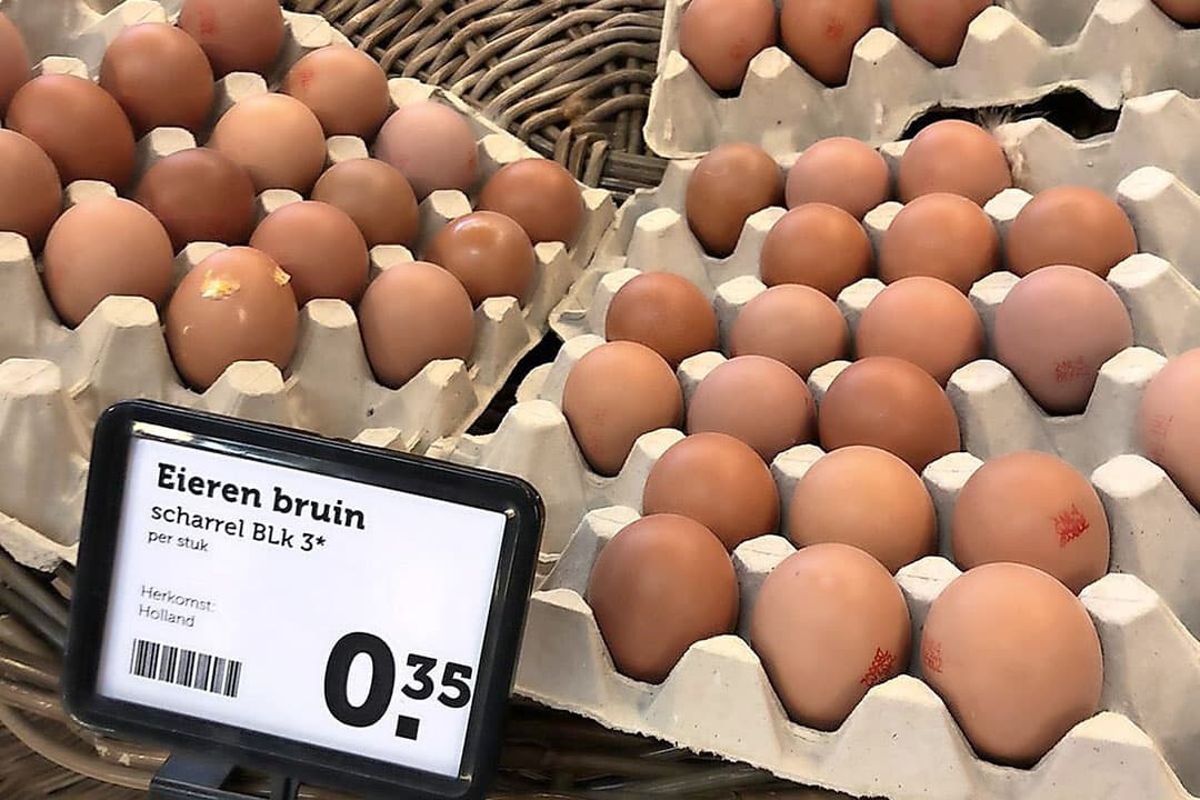 Scharreleieren BLk3* gelegd vóór 13 juni, lagen 6 weken later nog in een supermarkt. Met foutieve tht-datum gestempeld door een Barnevelds eierpakstation. - Foto: Misset/Pluimveehouderij