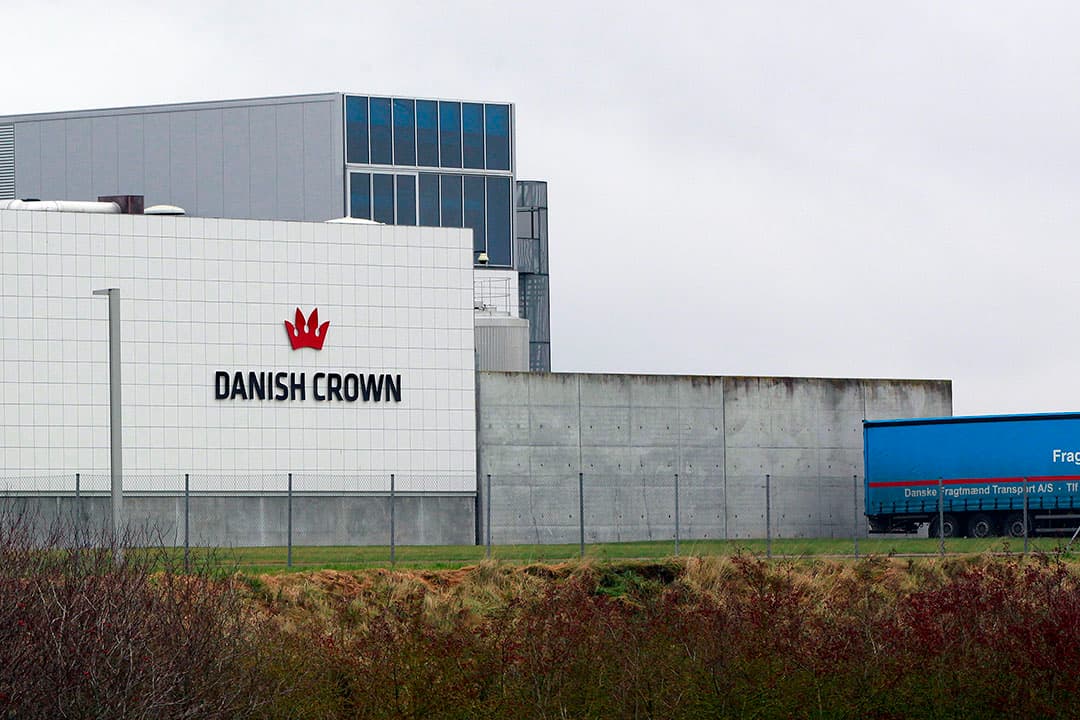 Exterieur van één van de slachthuizen van Danish Crown. - Foto: Henk Riswick