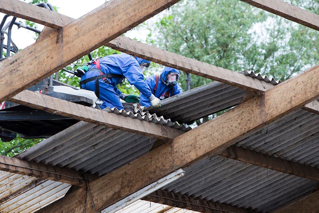 Foto: Anne van der Woude