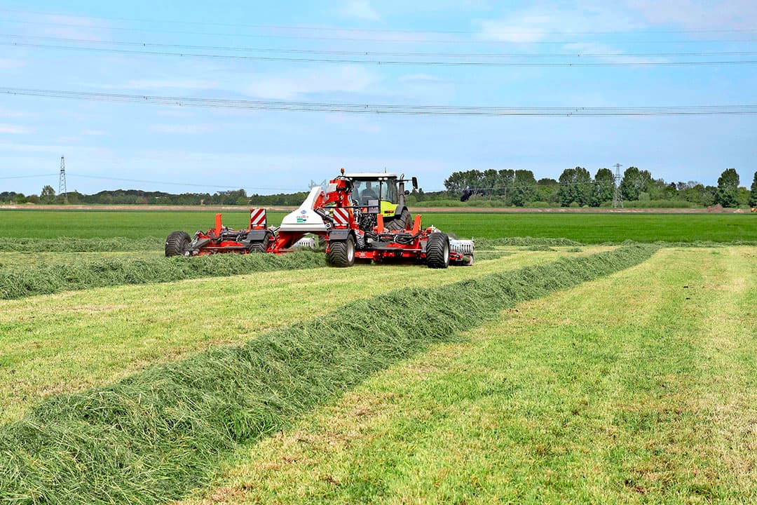 Foto: Koos van der Spek