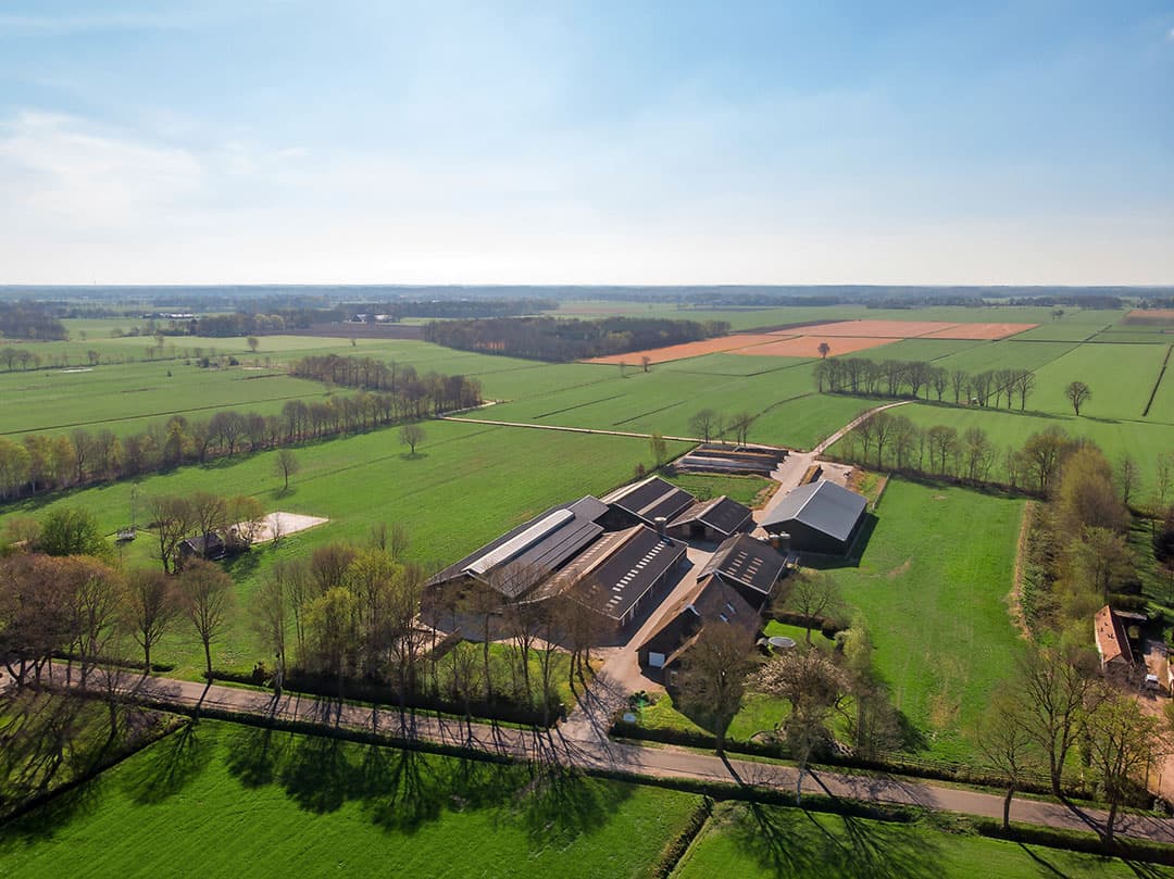 Te koop: veebedrijf met 25 hectare extra als optie