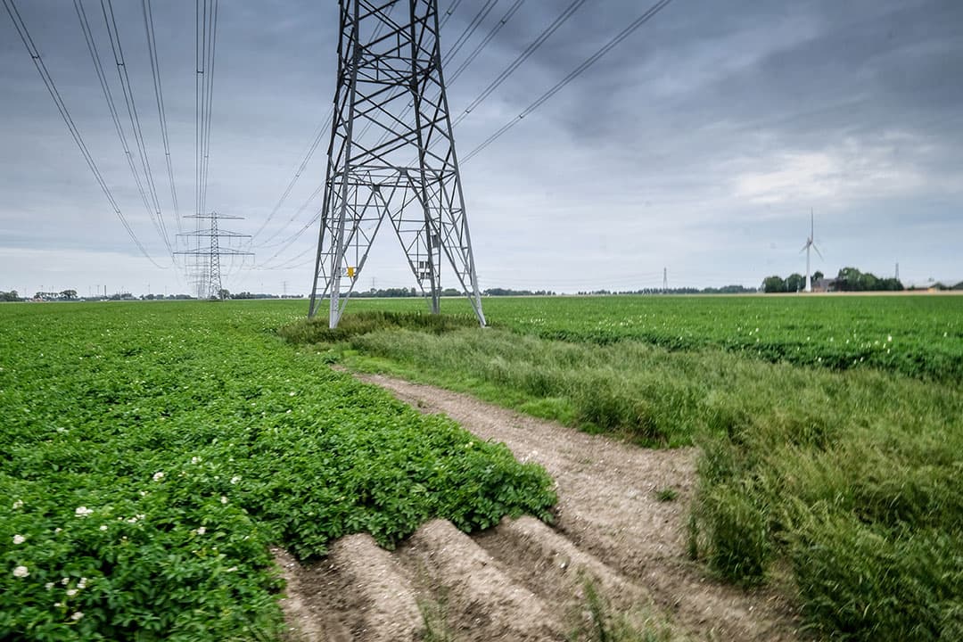 De netwerkbeheerder plaatst de masten - voor hem -zo efficient mogelijk. Dat kan heel ongunstig uitpakken voor de boer. - Foto: Jan Willem van Vliet