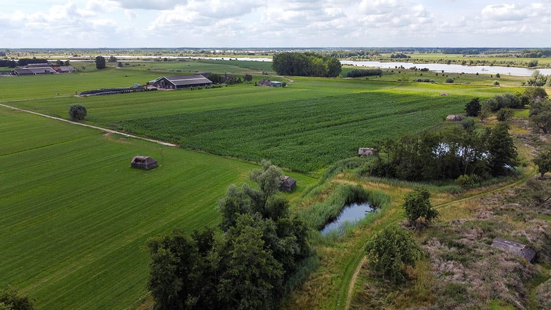 Foto's Herbert Wiggerman