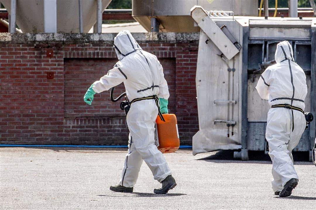 Ruiming van een nertsenbedrijf dat is besmet met het coronavirus. Voor het preventief ruimen van niet-besmette dieren is geen juridische onderbouwing. - Foto: ANP/Robin Utrecht