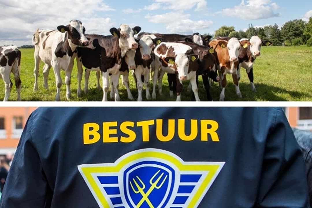 Foto: Herbert Wiggerman/Bert Jansen