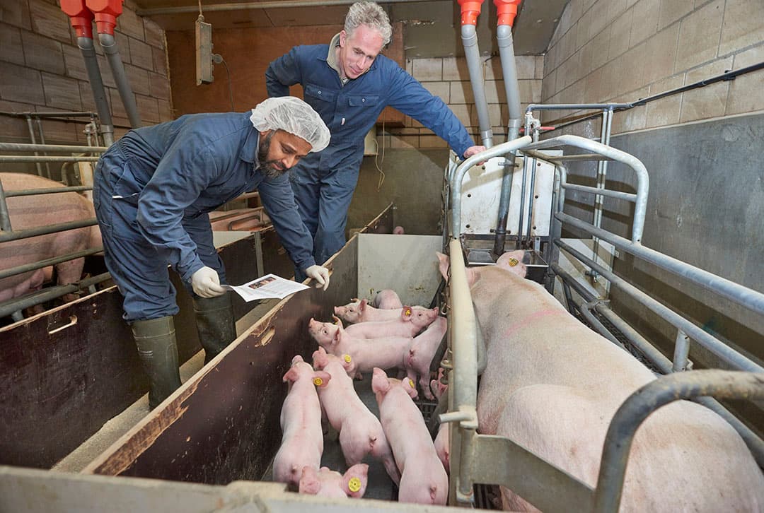Foto: Van Assendelft Fotografie
