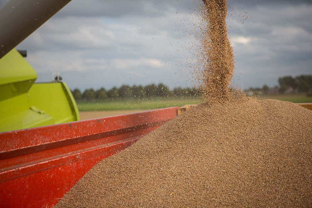 Foto: Peter Roek