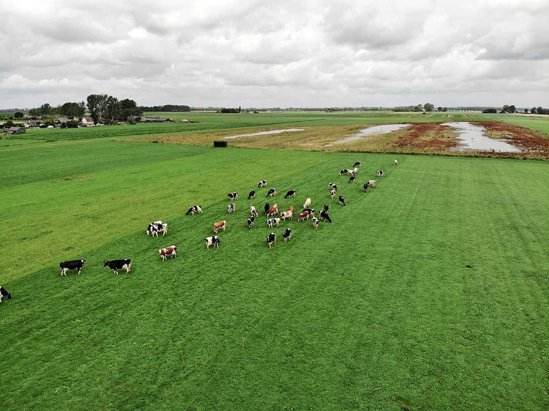 Foto: Hans Prinsen