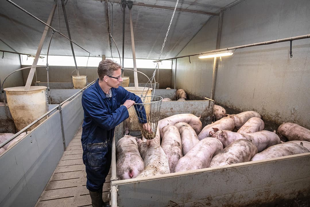 Foto: Herbert Wiggerman