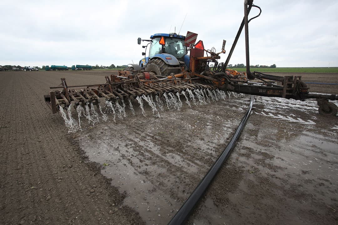 Foto: Roel Dijkstra
