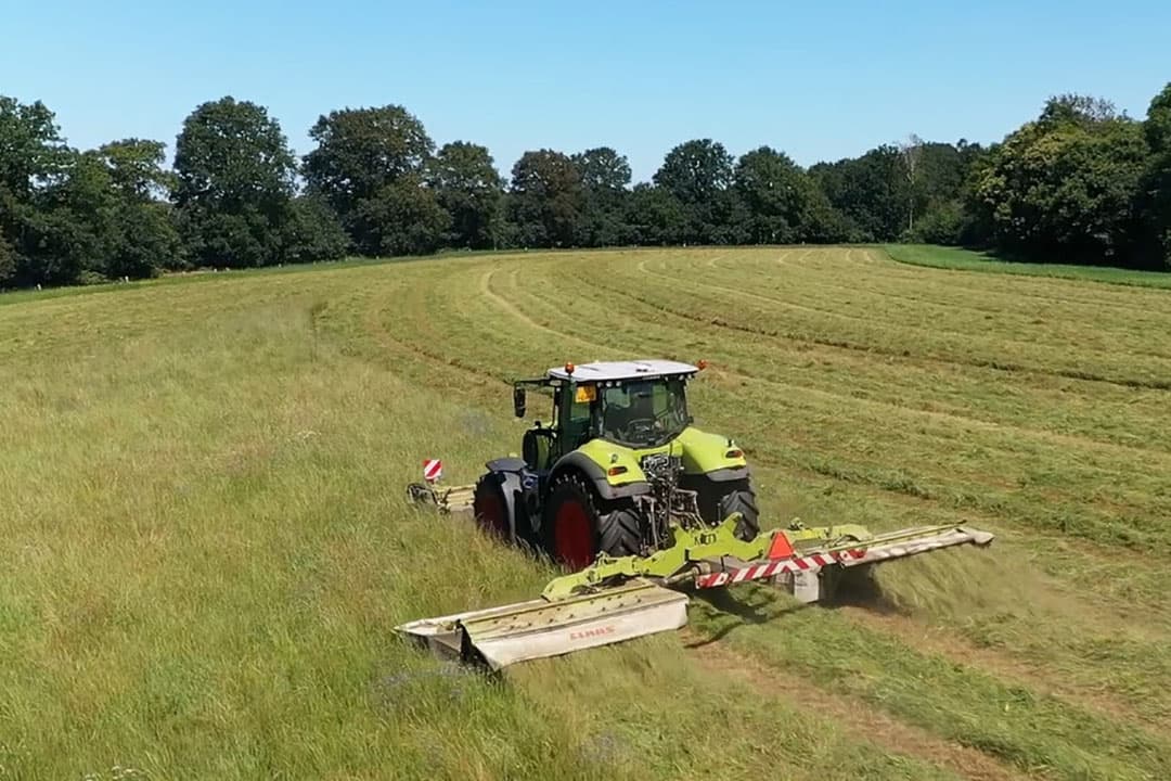 Foto: Kamps de Wild