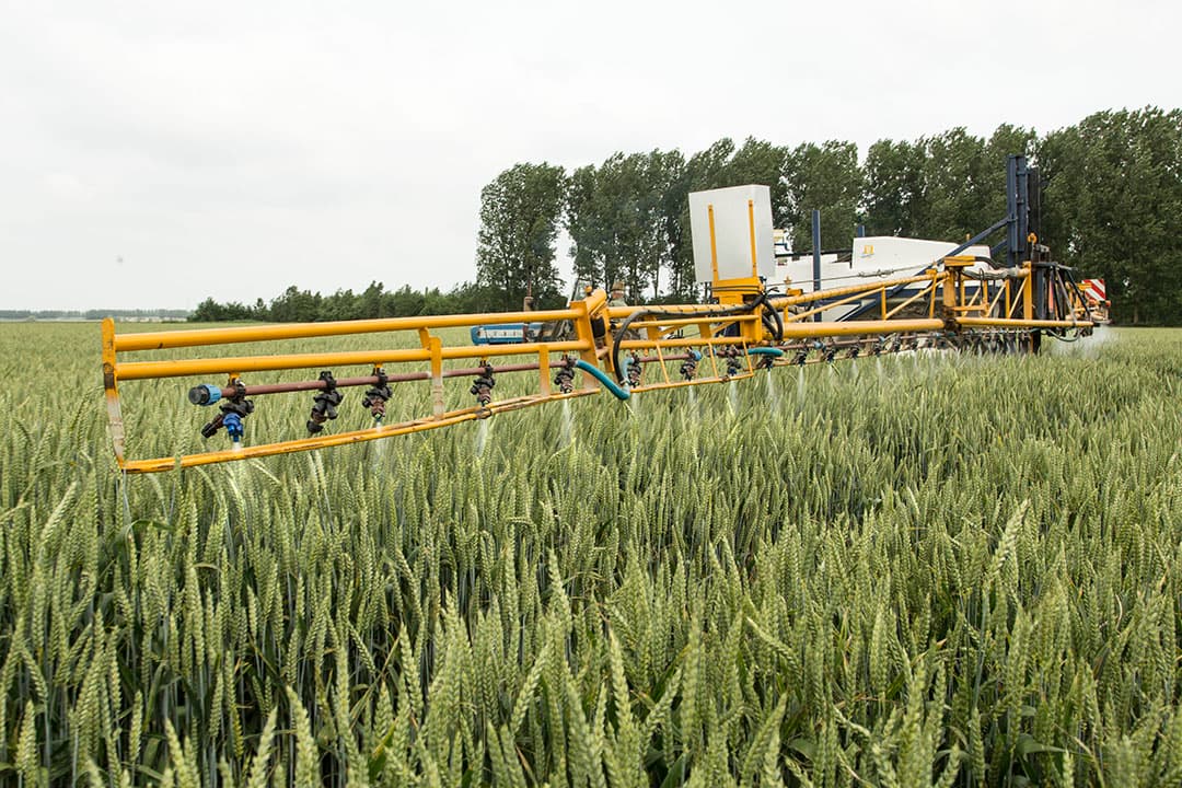Foto: Koos Groenewold