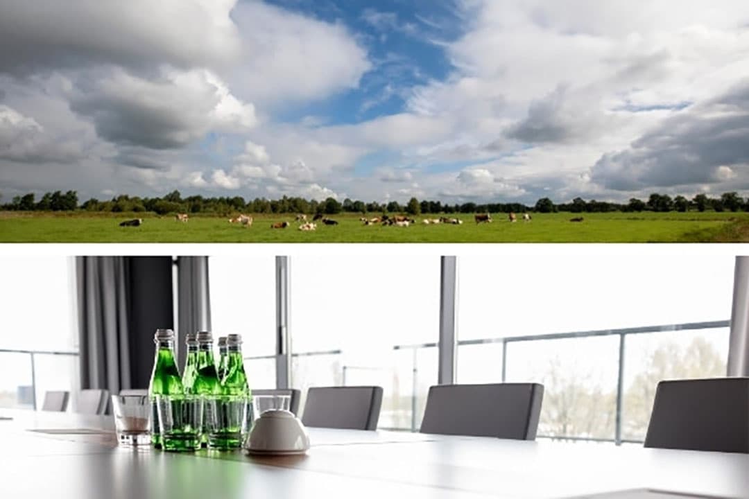 Foto: Anne van der Woude/Canva