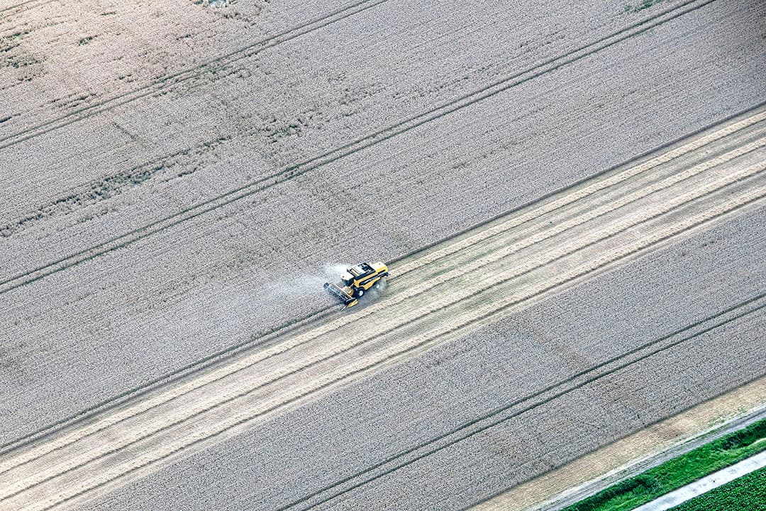 De eerste maaidorsers zijn actief. De hoofdoogst is echter nog niet echt gestart. - Foto: Sytze Bakker