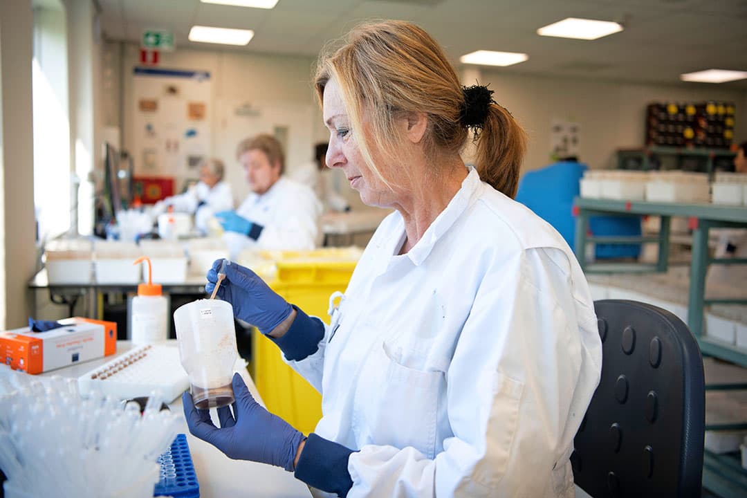 Een NAK-medewerker pipetteert het sap dat ontstaat nadat de aardappelschilletjes zijn gemalen. Het sap wordt onderzocht op virussen. - Foto: Mark Pasveer