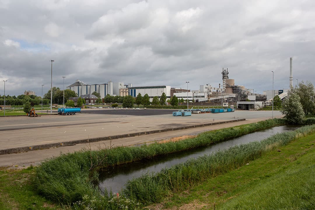 Foto: Peter Roek