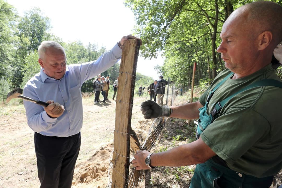 Till Backhaus (links), minister van Landbouw van Mecklenburg-Voor-Pommeren en Mathias Schober, bosbeheerder werken aan een wildbeschermingshek tegen Afrikaanse varkenspest bij de Duits-Poolse grens. - Foto: dpa Picture-Alliance