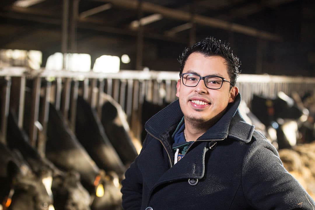 Roy Meijer, op de melkveehouderij van hem en zijn ouders in Witteveen (Dr.)- Foto: Koos Groenewold
