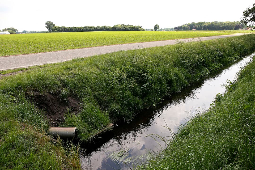 Foto: Hans Prinsen
