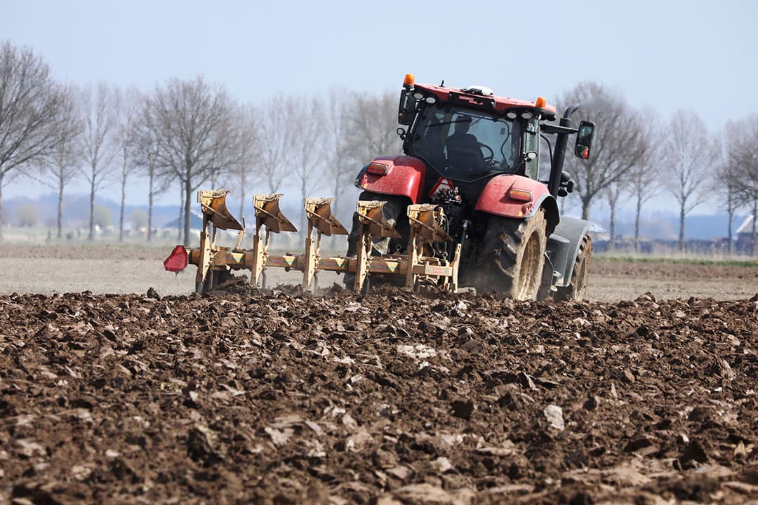 Foto: Henk Riswick